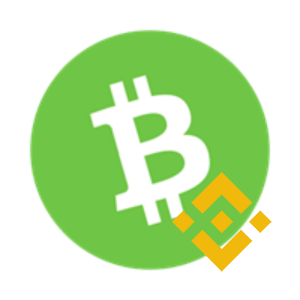 BPBCH | Binance-Peg Bitcoin Cash