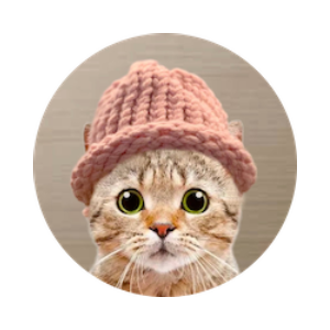 CatWifHat (CATWIF)