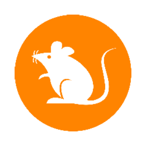RATS | Rats